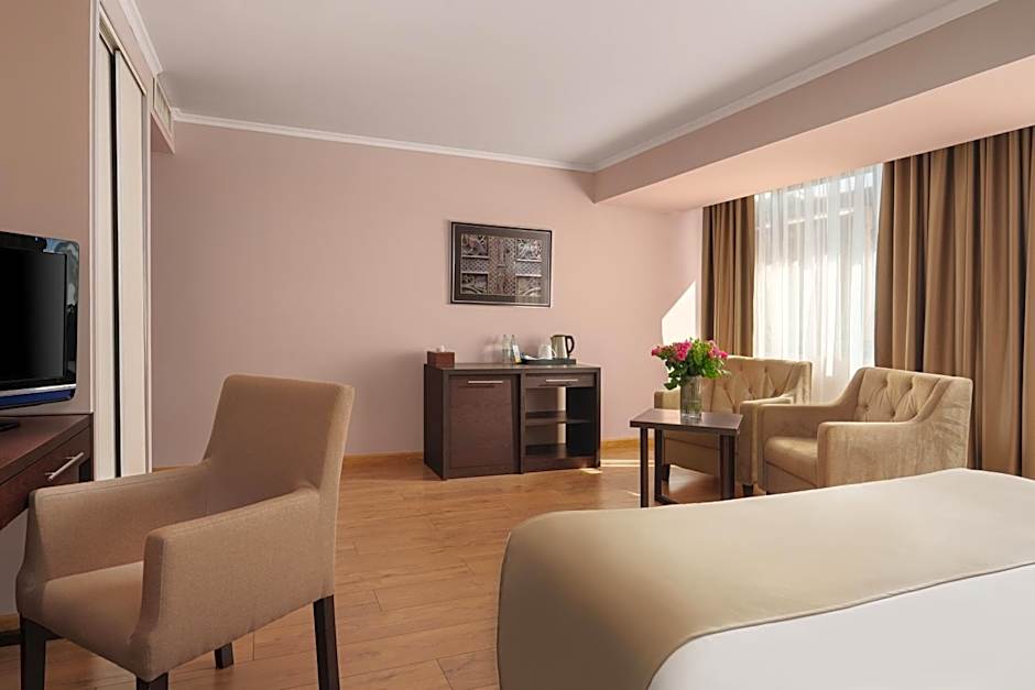 Ani Plaza Hotel