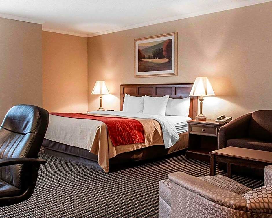 Comfort Inn Livonia