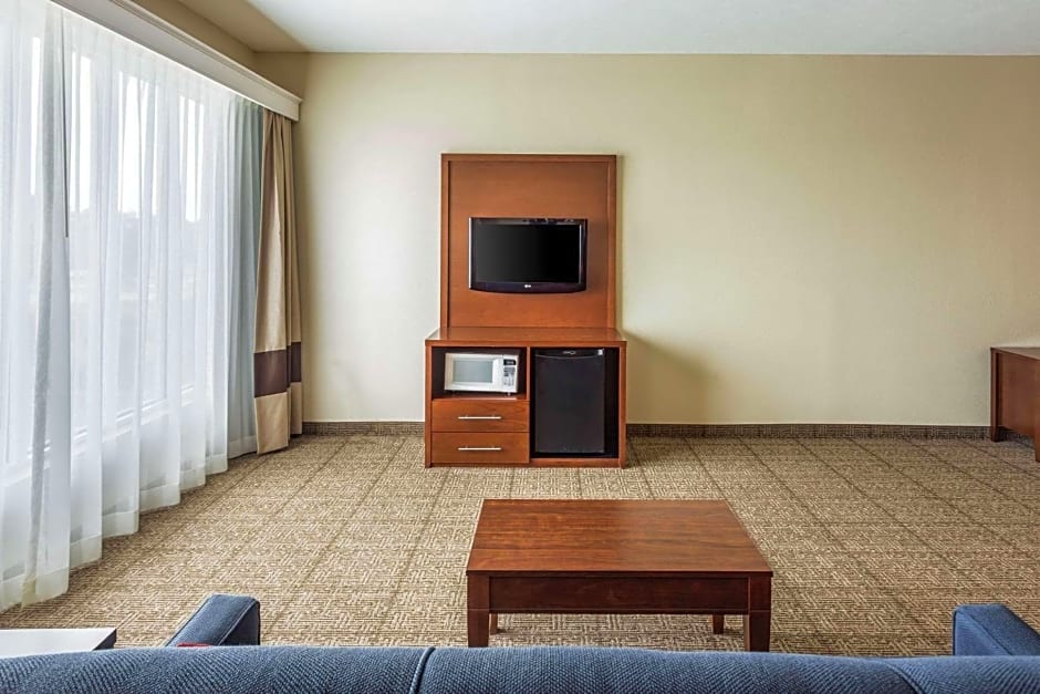 Comfort Suites At the University