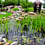 Stoney Creek Hotel St. Joseph