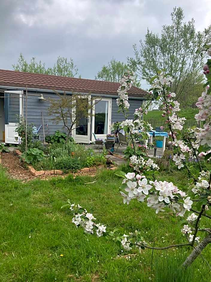 Rosa's zonnige huisje bij duinen bos en strand