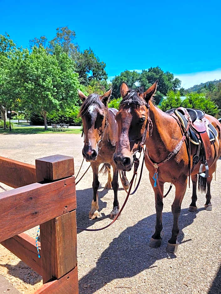 Harrietville Hotel Motel