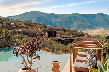 Encuentro Guadalupe