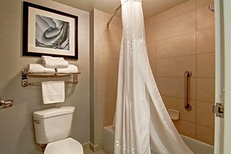 2 King 2Bdrm - 2Bathroom Suite Nonsmoking