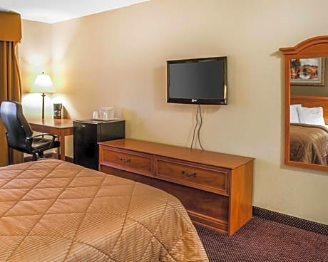 1 King Bed Suite Smoking