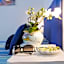 Sofì Sorrento Suites