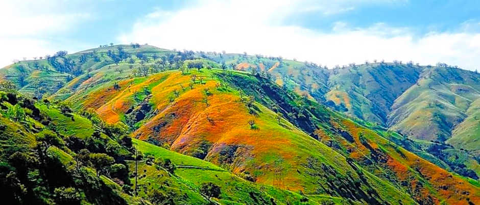 Holiday Inn Express & Suites Frazier Park by IHG