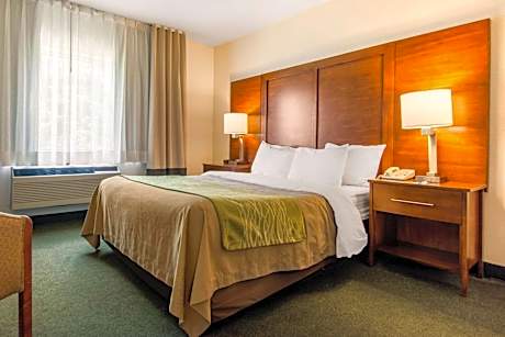 Business Queen Suite with Whirlpool and Sofa Bed