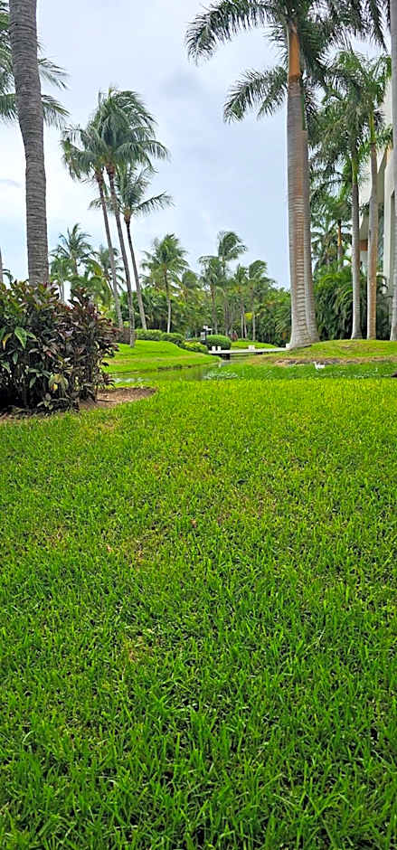 Mayan Palace