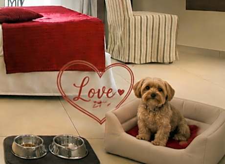 Classic Double or Twin Room Pet Friendly