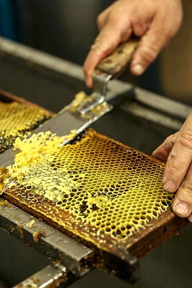 Viceroy at Ombria Algarve