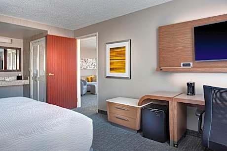 One-Bedroom Suite with King Bed and Sofa Bed