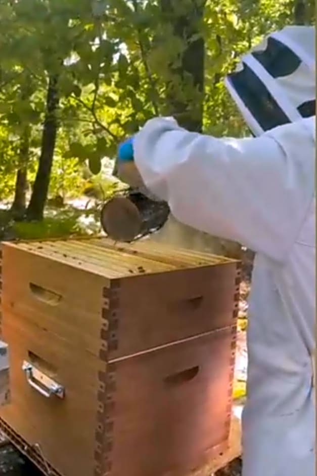 Les Douces Heures de Béa