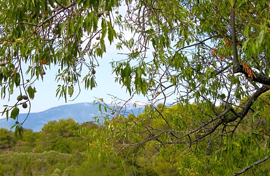 Mas de la Gonnette
