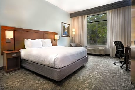 Room, 1 King Bed with Sofa bed (1 King Bed and 1 Double Sofa Bed)