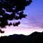 Quality Inn near Rocky Mountain National Park