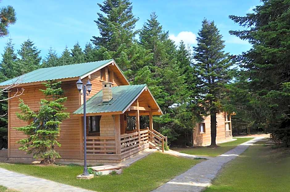 Uludag Orman Koskleri