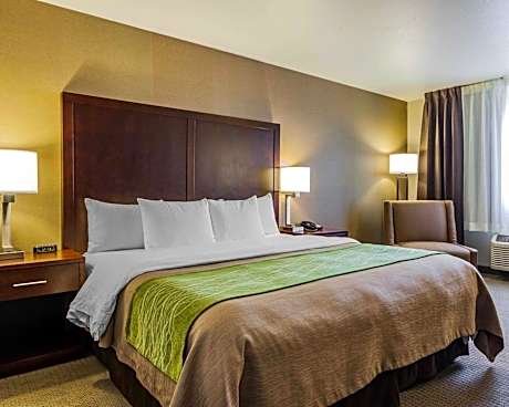 1 King Bed, Nonsmoking, Upgrade