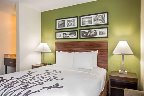 1 Queen Bed, Nonsmoking