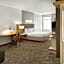 SpringHill Suites by Marriott Detroit Metro Airport Romulus