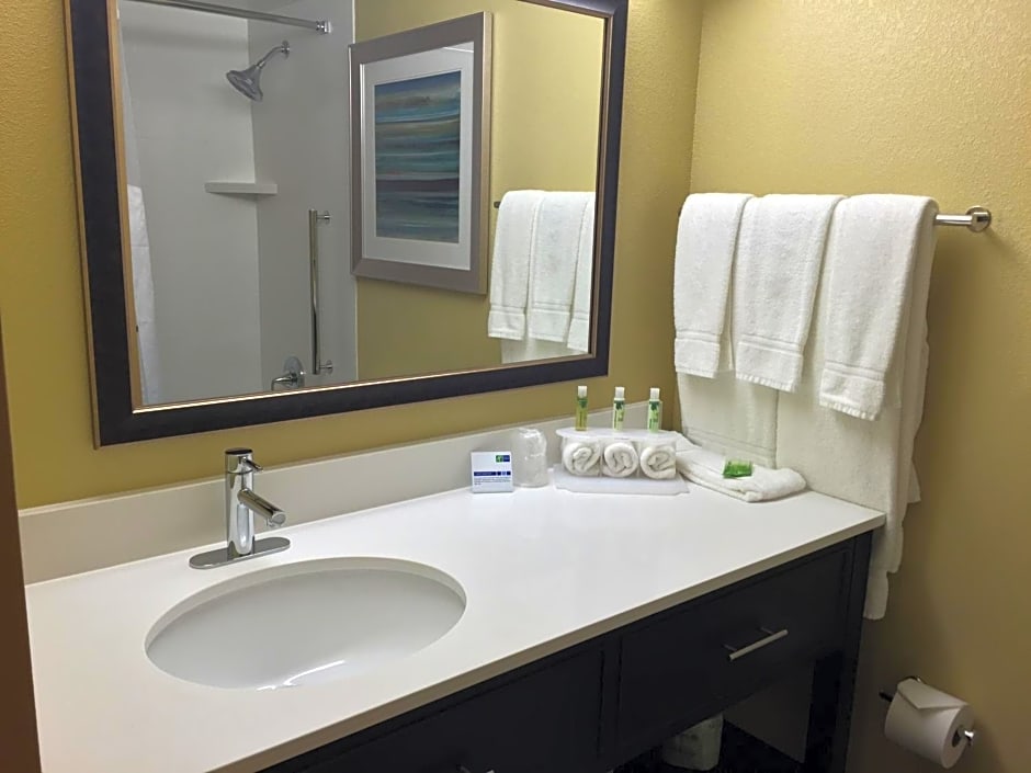 Holiday Inn Express Chicago NW - Arlington Heights, an IHG Hotel