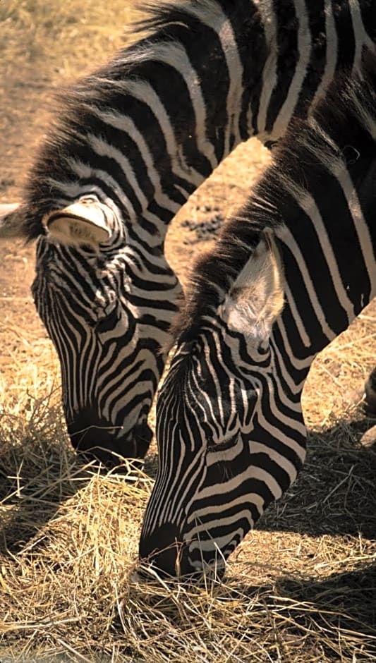 Polonezköy Country Club