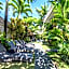The Green Room Canggu