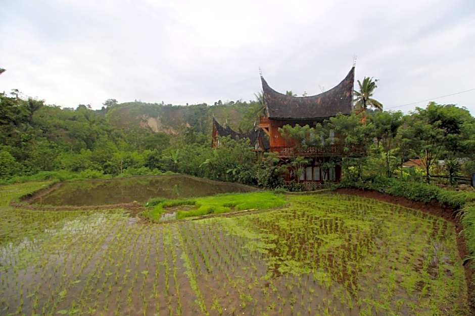 Padi Ecolodge