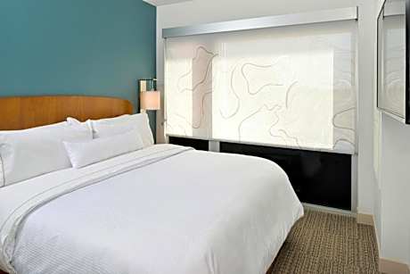 One-Bedroom King Suite with Sofa Bed and Transfer Shower - Mobility/Hearing Accessible