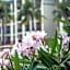 Great Bay Condominiums at Ritz-Carlton Club, St. Thomas
