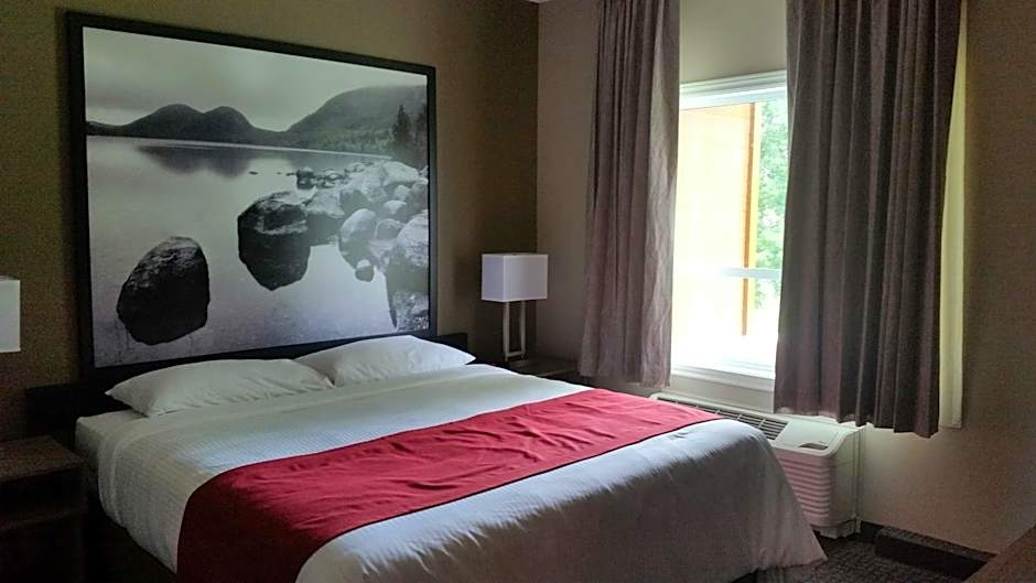 Photo 1 of 6 of Studio 1 King Bed