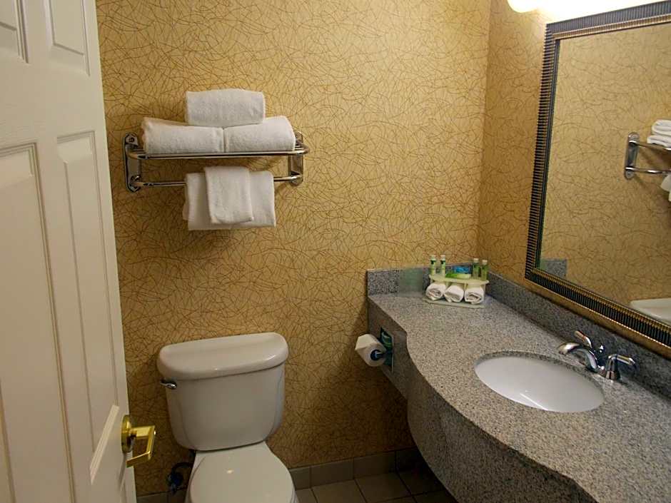 Holiday Inn Express Syracuse-Fairgrounds By IHG