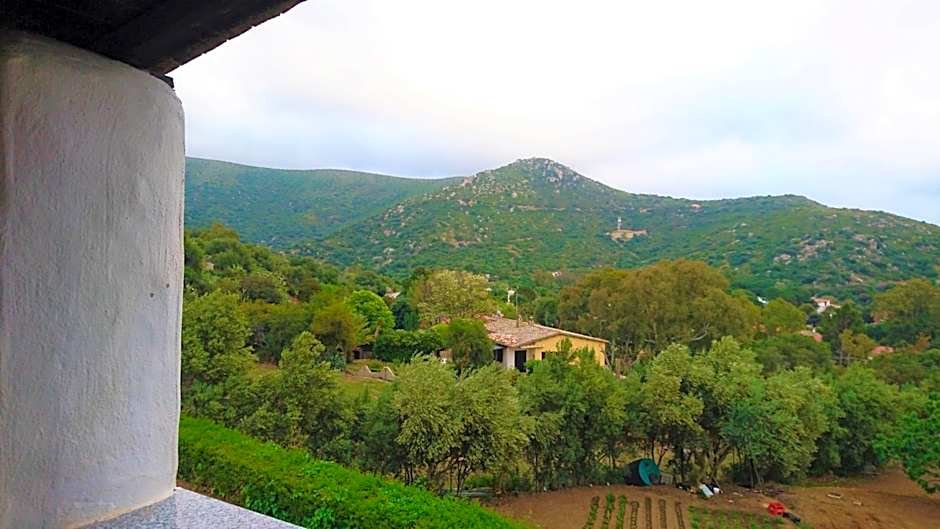 Il Complesso Saraceno