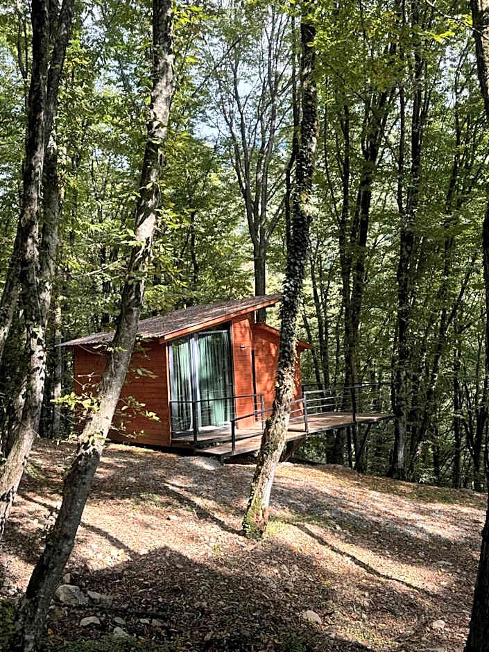 Eco Village In The Forest