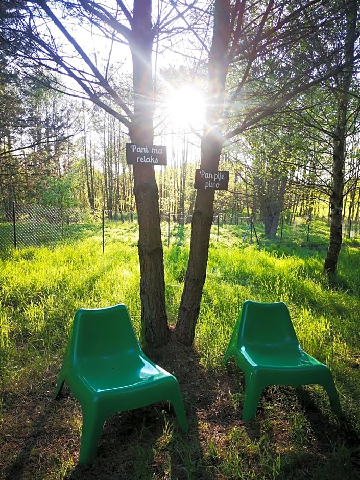 Domki Między Drzewami