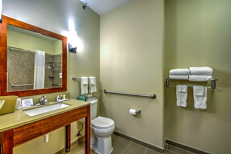 Comfort Suites Tomball Medical Center