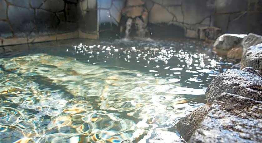 Rex Inn Kawasaki - Male Only