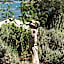 Miramare Apartments&Suites