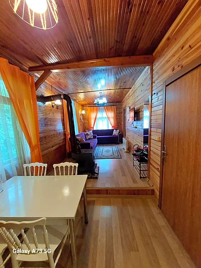 AYDER Nazlı çiçek apart