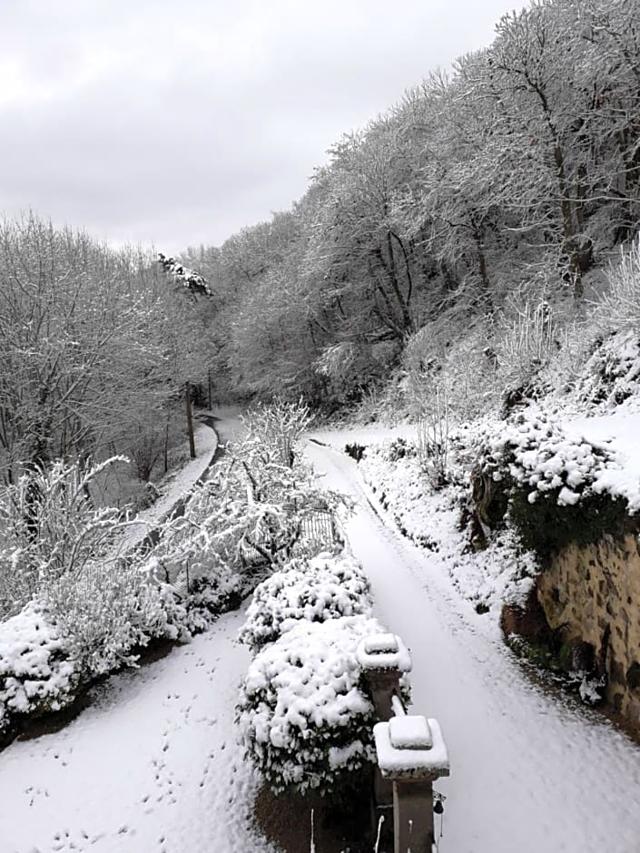 DUC MANOIR Chambres d'hôtes
