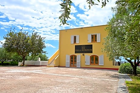 Villa Petrinum B&B