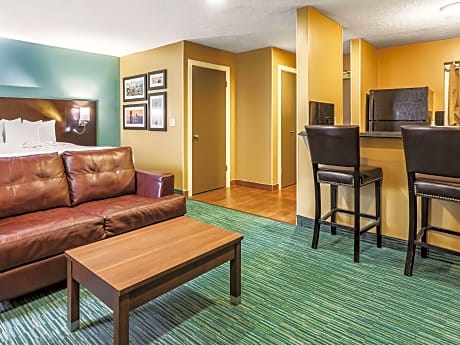 1 King Bed Non-Smoking