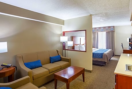 1 King Bed, Suite, Nonsmoking