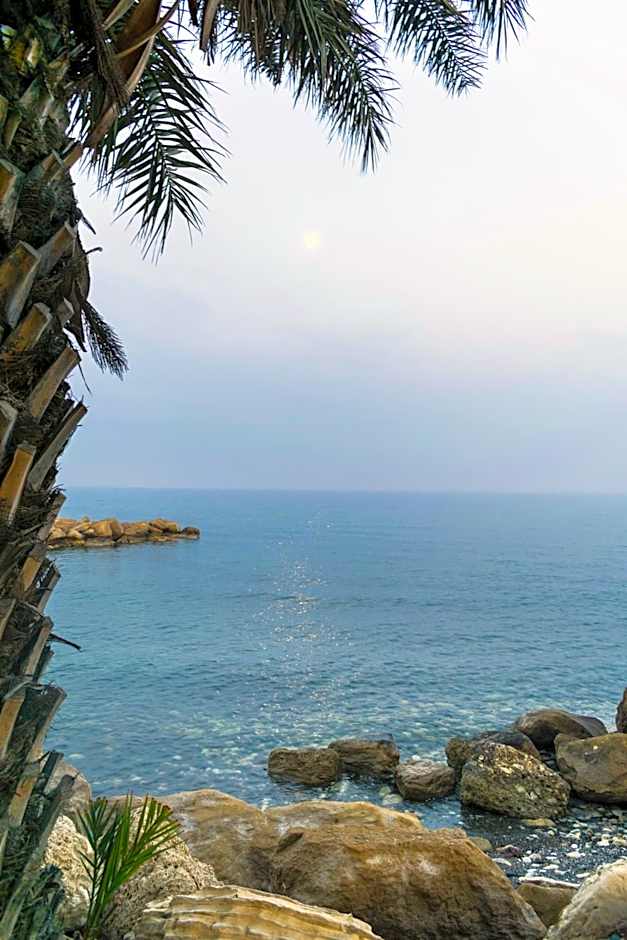 Elya Beach Luxury Suites