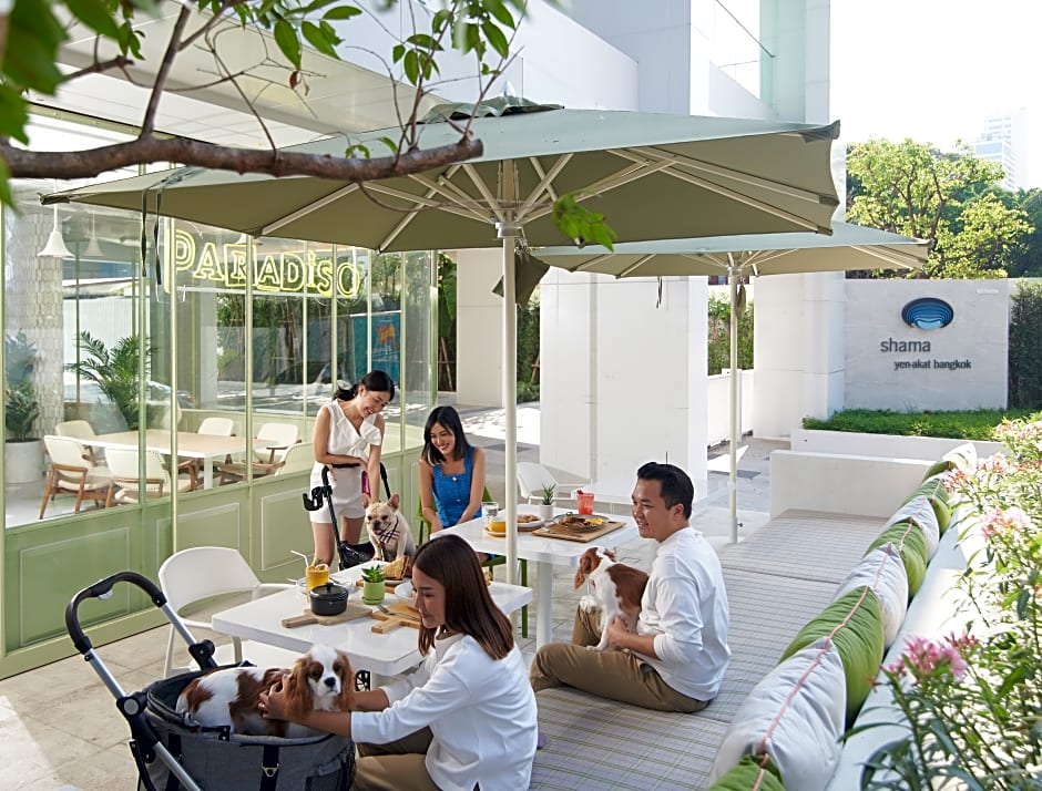 Shama Yen-Akat Bangkok