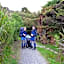 Kowhai Lane Lodge