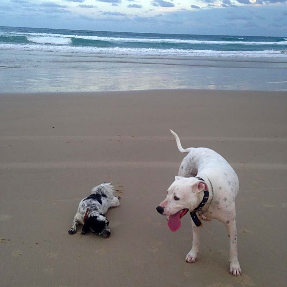 Clarence Head Caravan Park