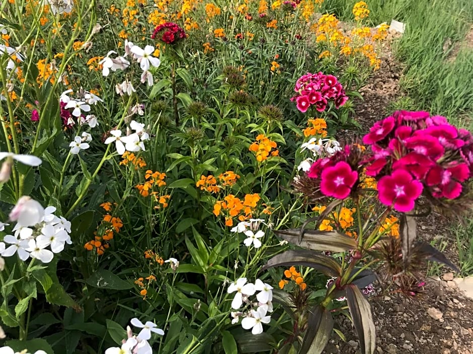 "Un matin au jardin"