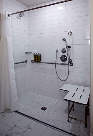 1 King Exec Lvl Mobility Access W/ Ri Shwr