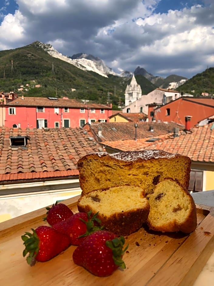 Carrara Bella